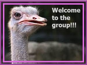 ostrich.jpg
