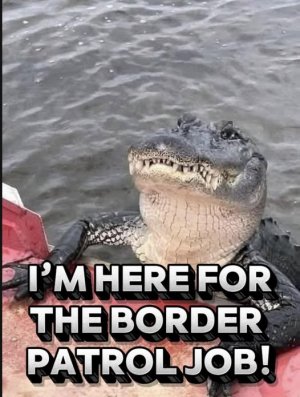 border job.jpeg