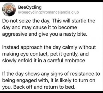 seize the day.jpg