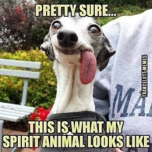 IMG_1976.jpeg
