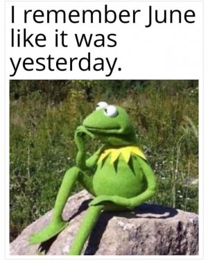 1000005389.jpg