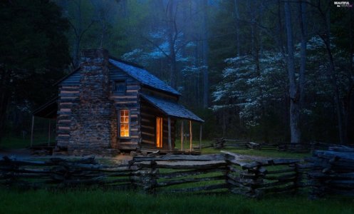 cabin.jpg