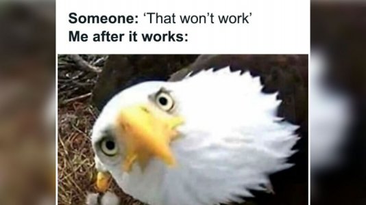 MEAFTER.jpg