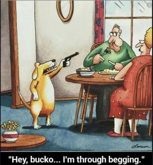 a dog begging gun joke.jpg