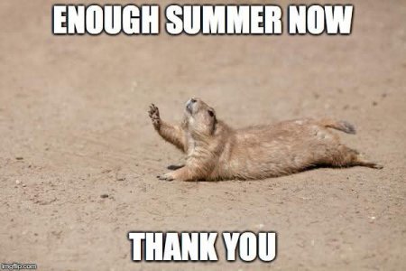 a enough summer joke.jpg