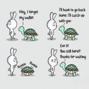 a turtle joke.jpg