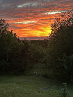 IMG_9455.jpeg