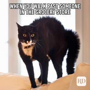 16_When-you-walk-past-FINAL.jpg