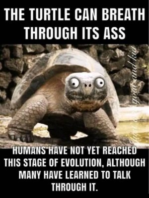 FB_IMG_1751572734318.jpg