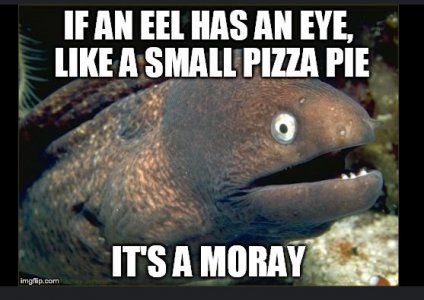 mmhfx.jpg