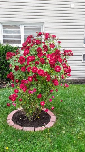 20190530_144629.jpg