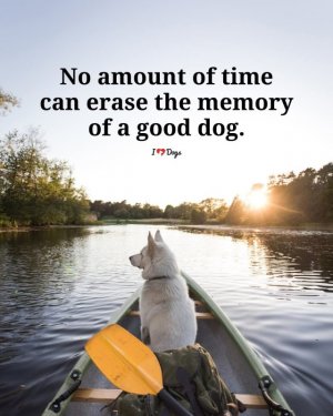 FB_IMG_1751610179647.jpg