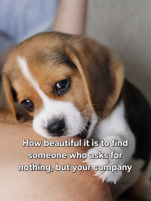FB_IMG_1751609917847.jpg