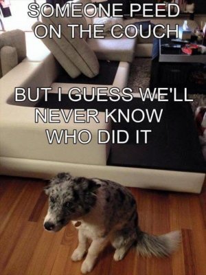 IMG_2004.jpeg