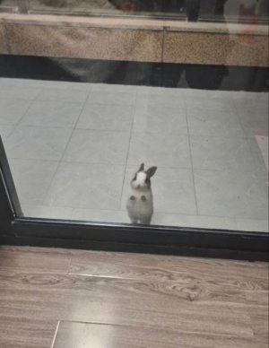 bafkreiargvik6mizwbpczatphcni3ooq2zyiv7eu32lae4lsr7cmqwuxve.jpg