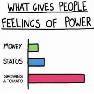 growing.jpg