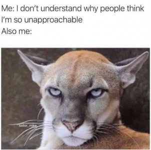 0.jpg