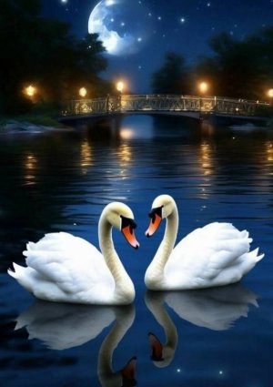 FB_IMG_1751253739298.jpg