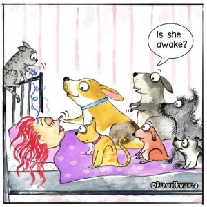 a dog joke.jpg