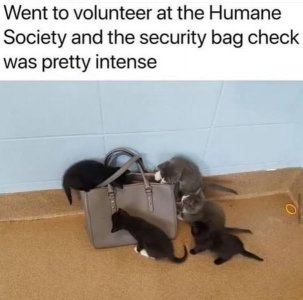 a security joke (1).jpg