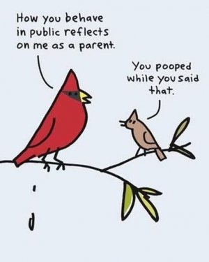 a bird joke.jpg
