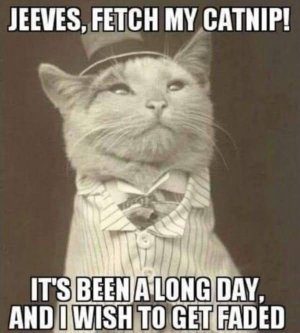 funnyanimalsjoke.jpg