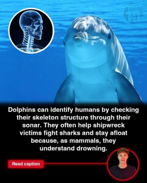 FB_IMG_1751676116674.jpg
