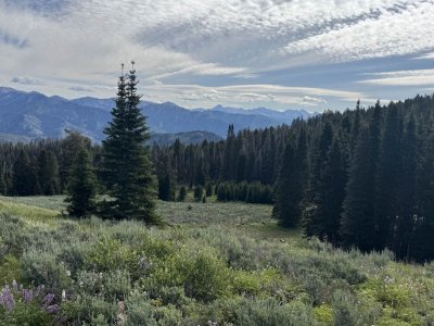 ViewSEEFkBakerCreek.jpg