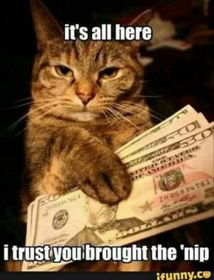 FB_IMG_1751774058784.jpg