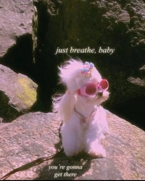 a just breathe meme.jpg
