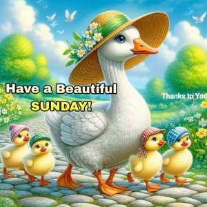 IMG_2023.jpeg