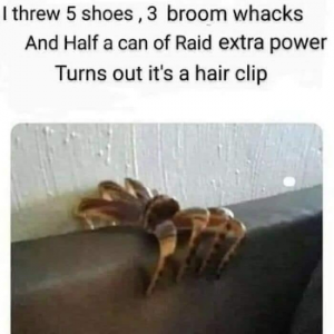 1000005810.png