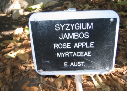 IMG_0196.jpeg