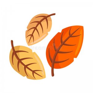 autumn leaves.jpg autumn leaves.jpg