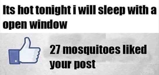 FB_IMG_1751841031724.jpg