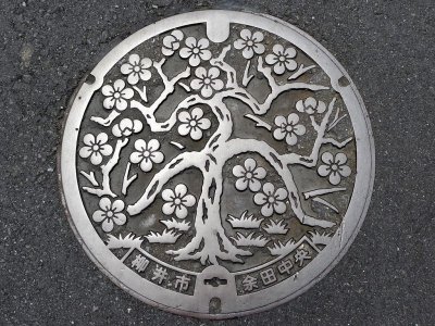japanese manhole cover.jpg