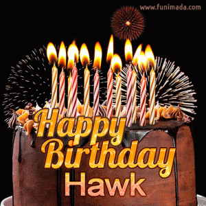 hawk-11.gif