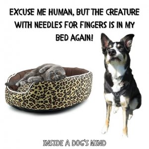 excuse me.jpg