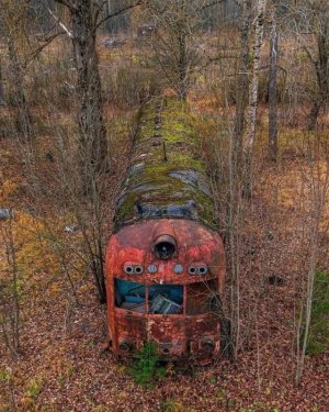 IMG_0883.jpeg