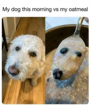 IMG_0919.jpeg