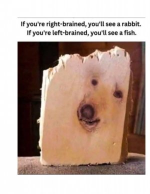 1752156331399.jpeg