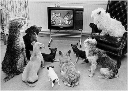 Television @.jpg