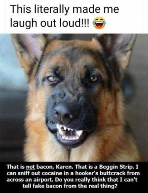 49b847ca1432c4bf70aa9e39bd1a2d82.jpg