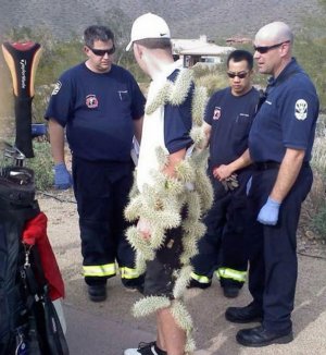 jumping chola cactus.jpg