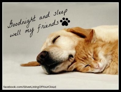 gdnt.slp.well.jpg