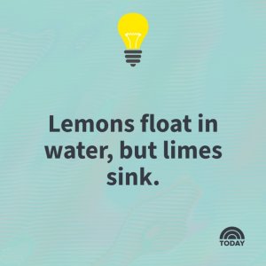 interesting-facts-sc-101624-05-c6eeae.jpg