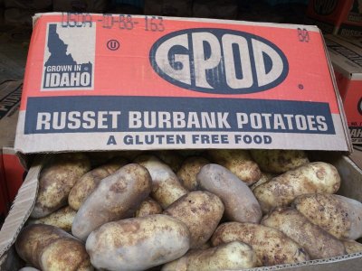 GPOD80count.jpeg