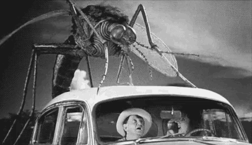 mosquito-giant.gif