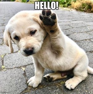 HELLO there.jpg