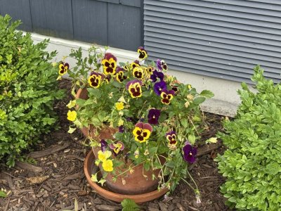 IMG_0946.jpeg